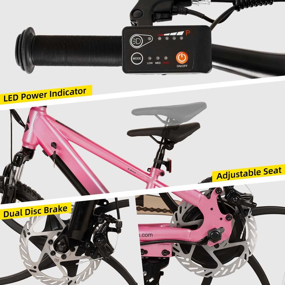 girls electric bicycle Tower Beach Babe Beach Cruiser Brown Schwalbe Tires torque 48v/500w motor Electric Bicycle Girls Bicycle Price