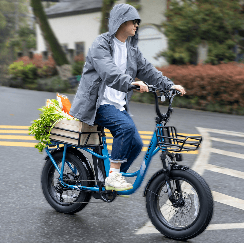 Fat tire discount electric cargo bike